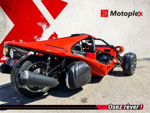 campagna T-Rex  2024