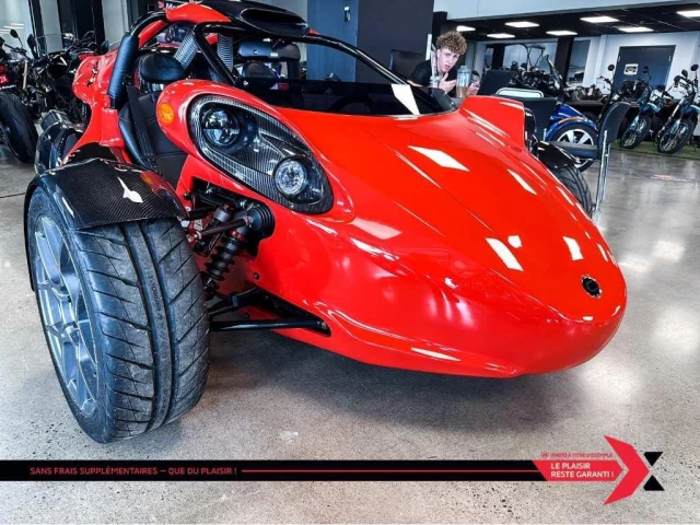 campagna T-Rex  2024