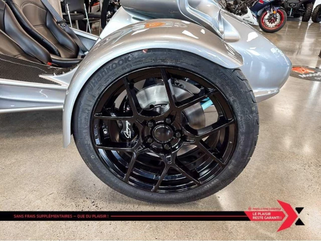 campagna T-Rex  2025