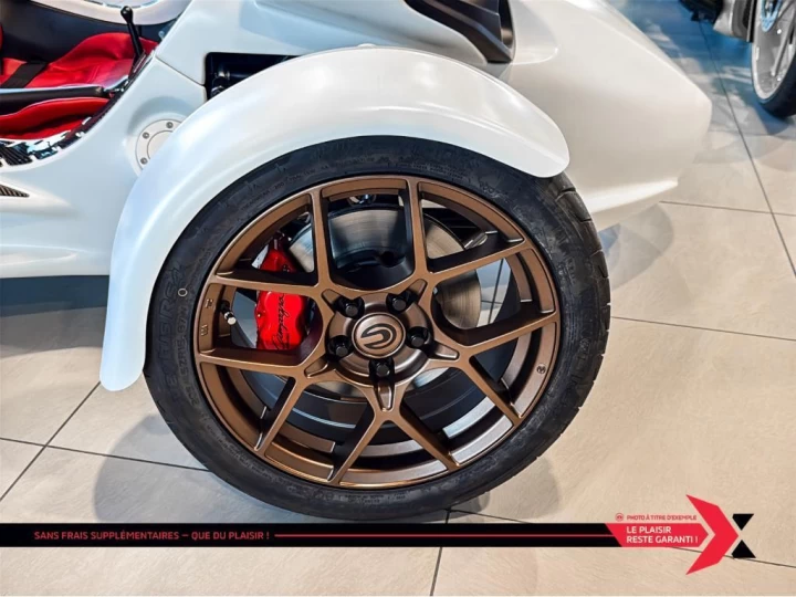 2025 campagna T-Rex 