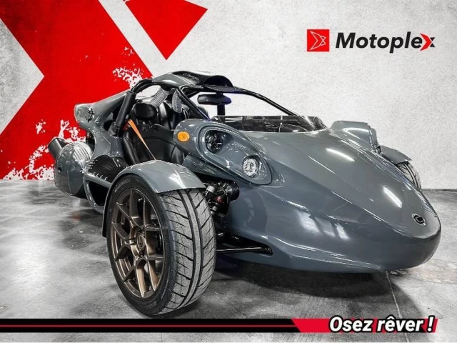 campagna T-Rex  2025