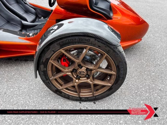 campagna T-REX 14RR  2021