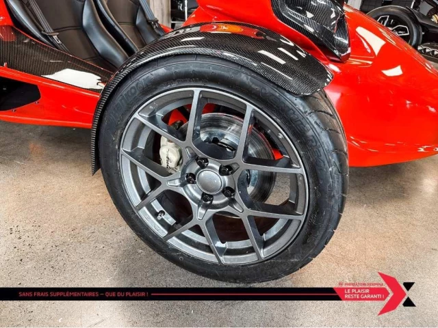 campagna T-Rex  2024