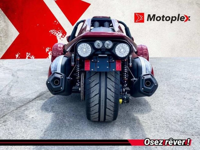 campagna T-REX RR  2025