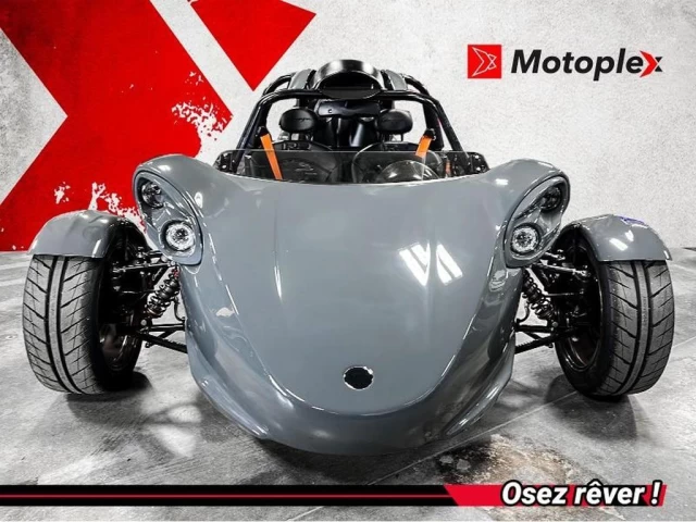 campagna T-Rex  2025