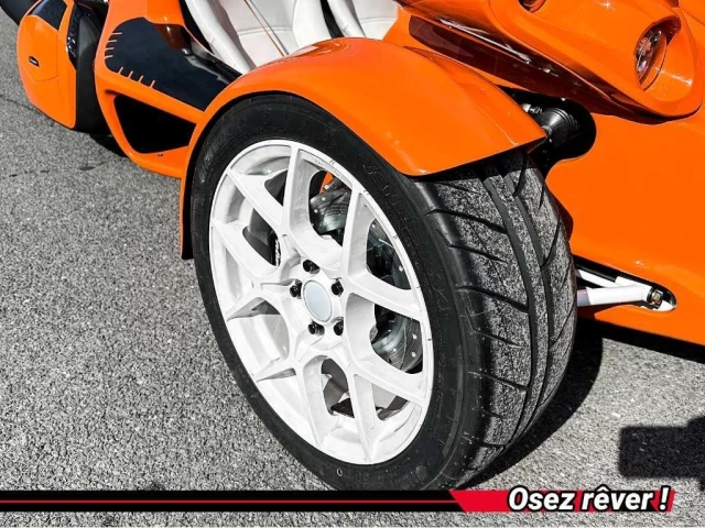 campagna T-REX RR  2025