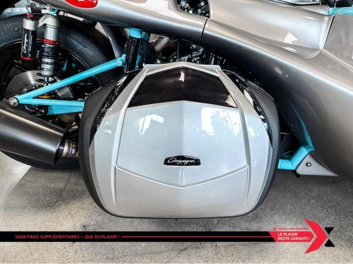 2025 campagna T-Rex 