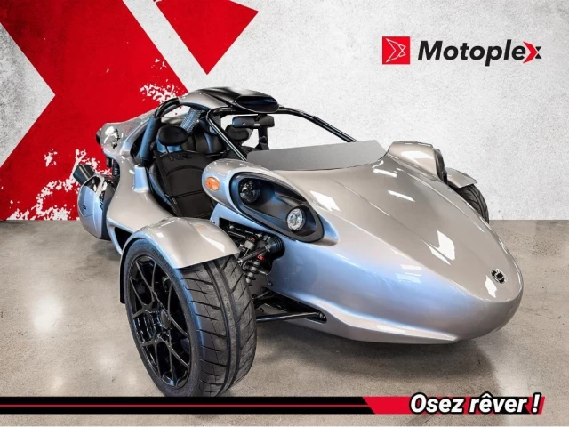 campagna T-Rex  2024