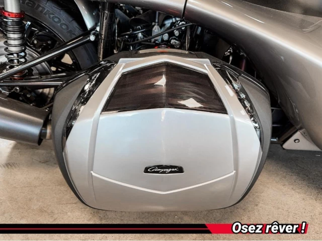 campagna T-Rex  2024