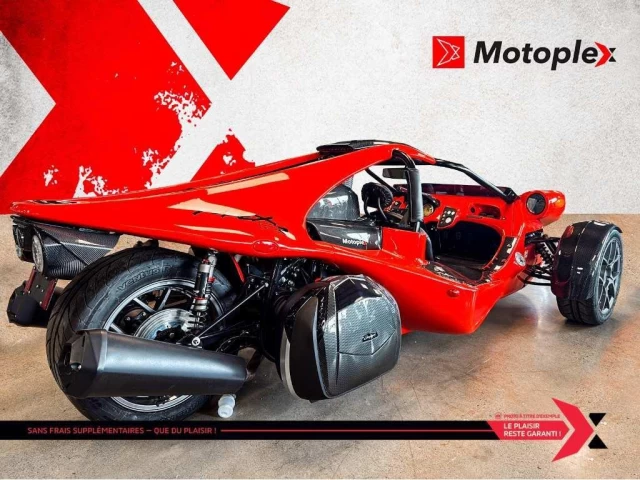 campagna T-Rex  2024
