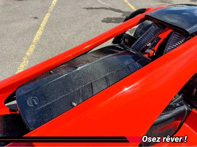 campagna T-Rex  2024