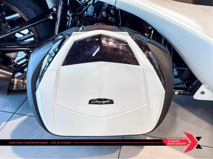 2025 campagna T-Rex 