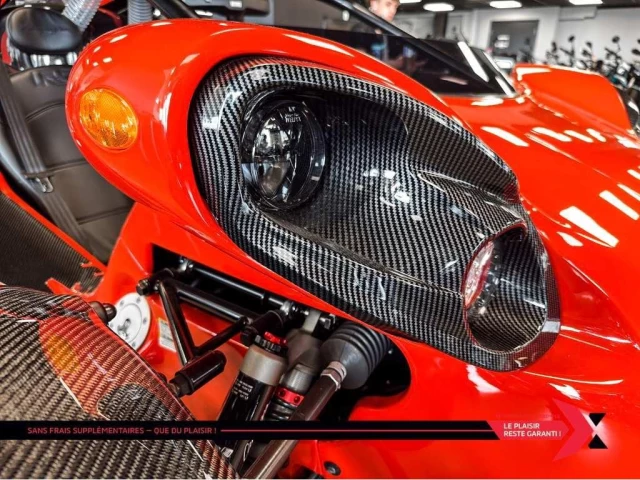 campagna T-Rex  2024