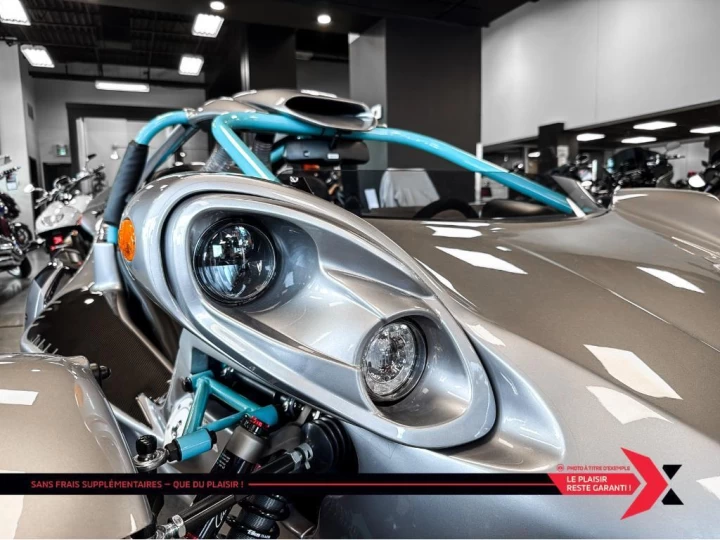 2025 campagna T-Rex 