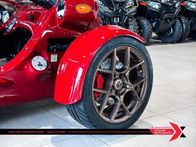 campagna T-REX RR  2024