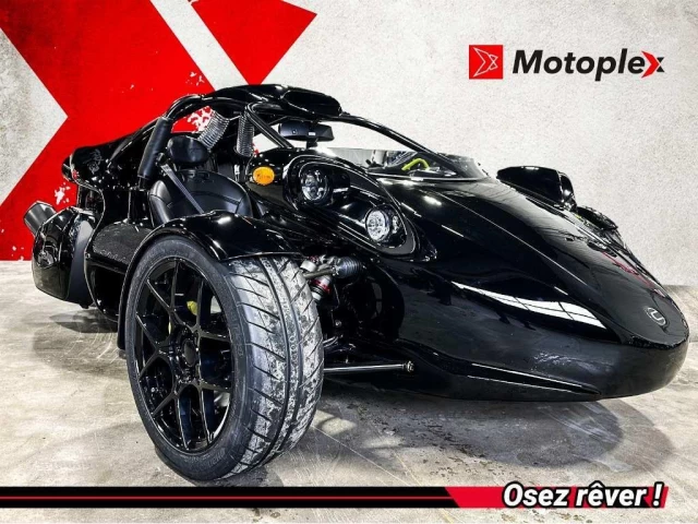 campagna T-Rex  2025