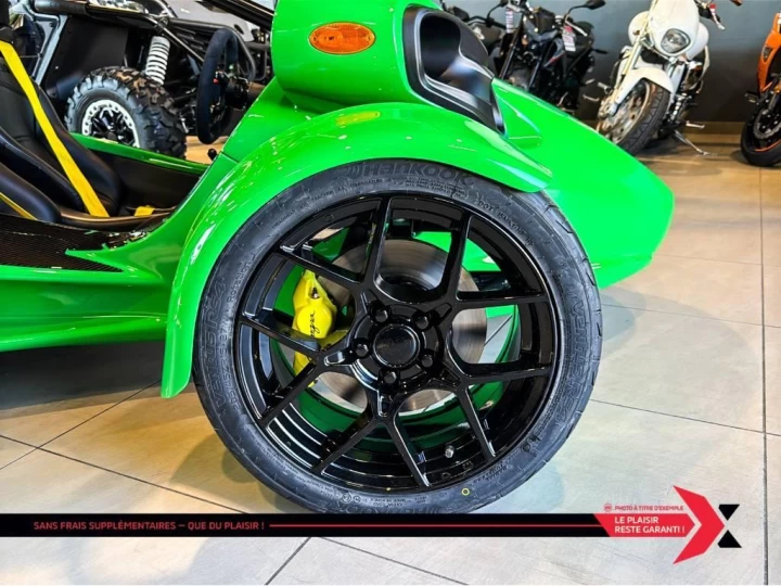 2025 campagna T-REX RR 