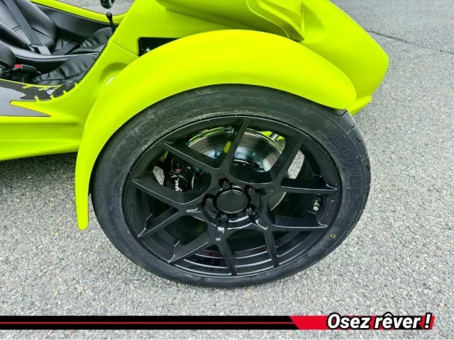 campagna T-REX RR  2025
