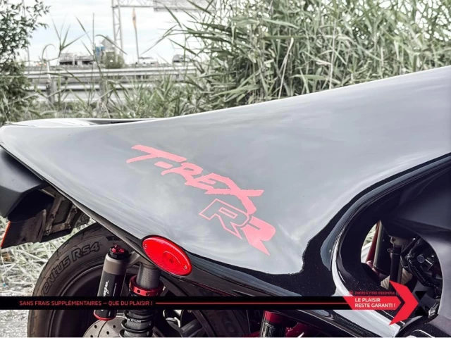 campagna T-REX 14RR CUSTOM PAINT  2022