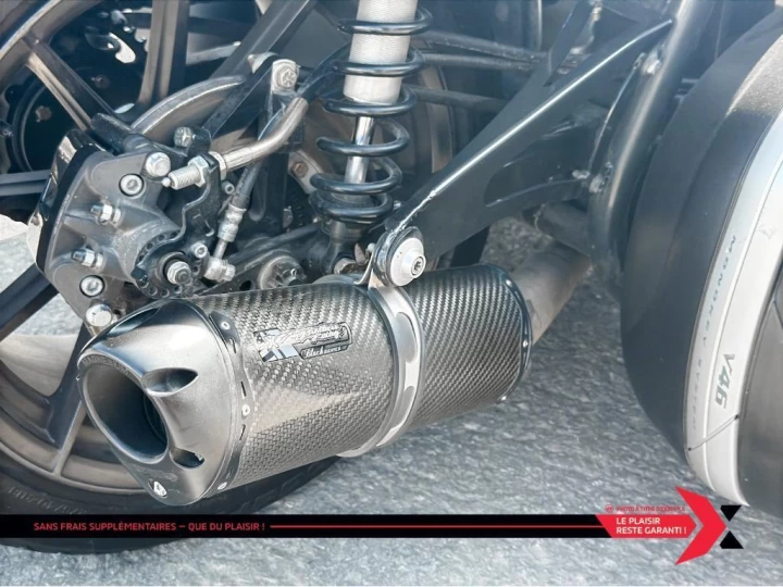 2017 campagna T-REX 16S 