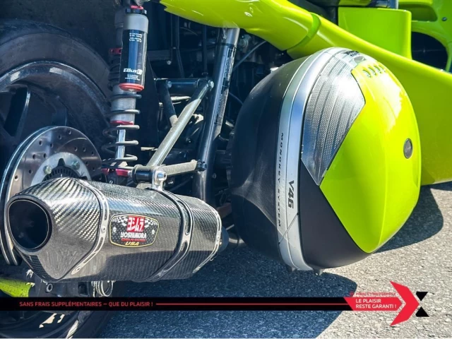 campagna T-REX 14RR  2021