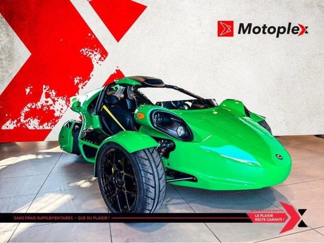 campagna T-REX RR  2025